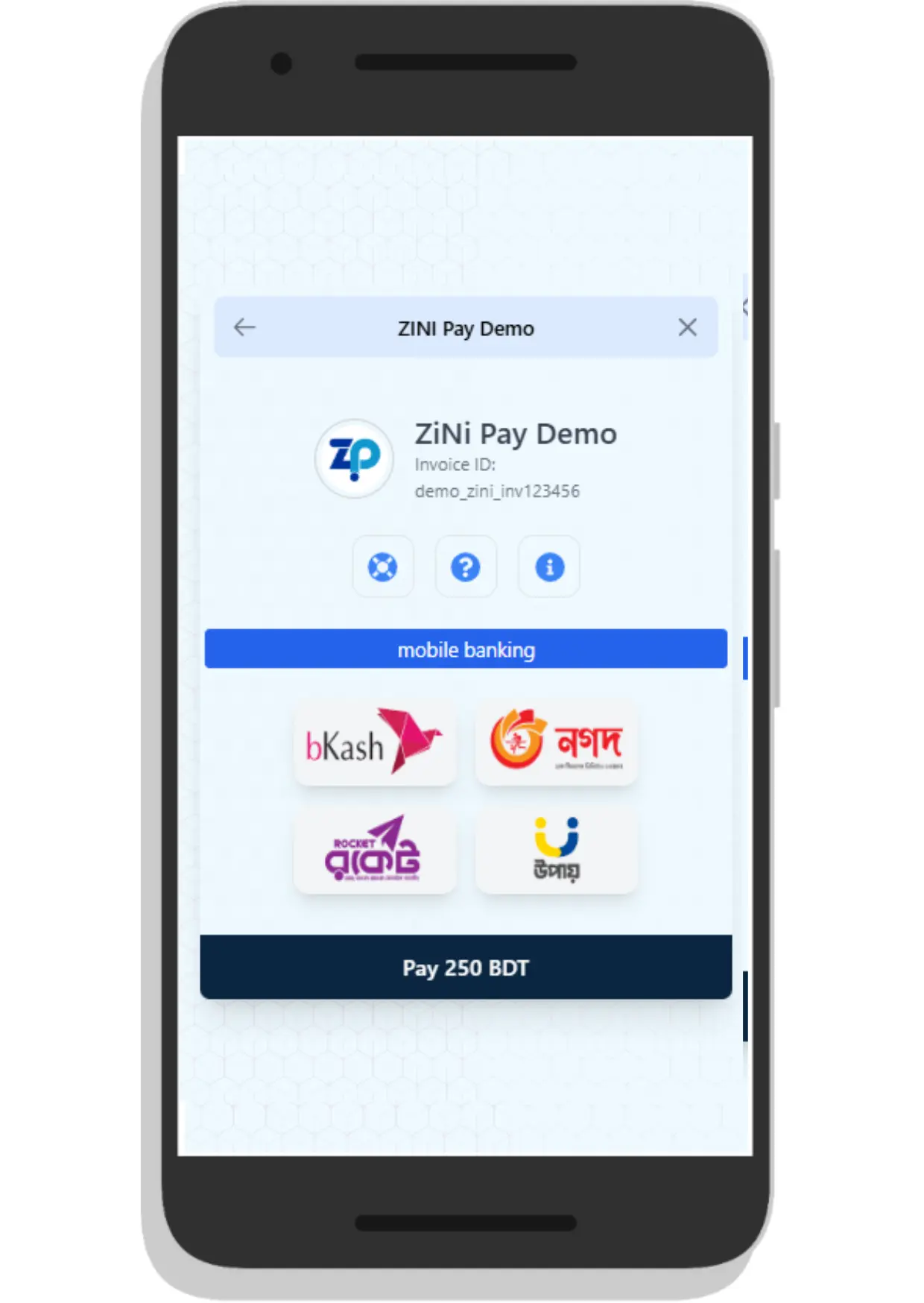 best payment gateway in bangladesh 2025 sandbox page screenshot